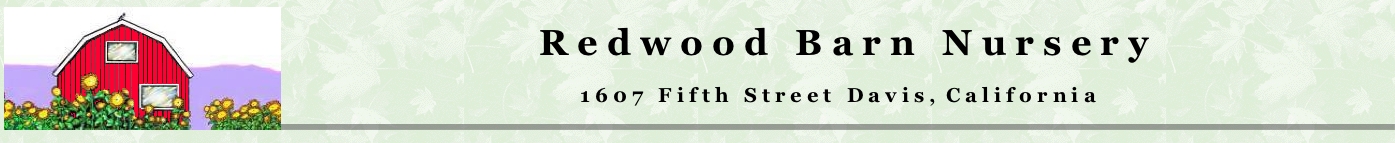 Redwood Barn Nursery logo